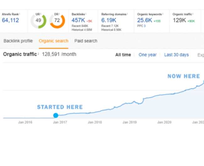 organic seo expert in bangladesh